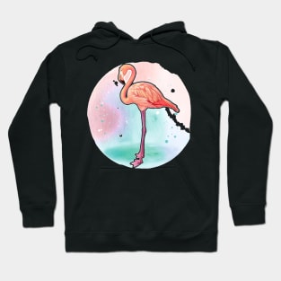 Tropical flamingo Hoodie